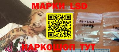 крисы Новозыбков