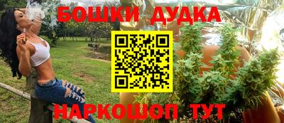 МДПВ Новодвинск