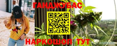крисы Новозыбков