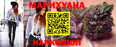крисы Новозыбков