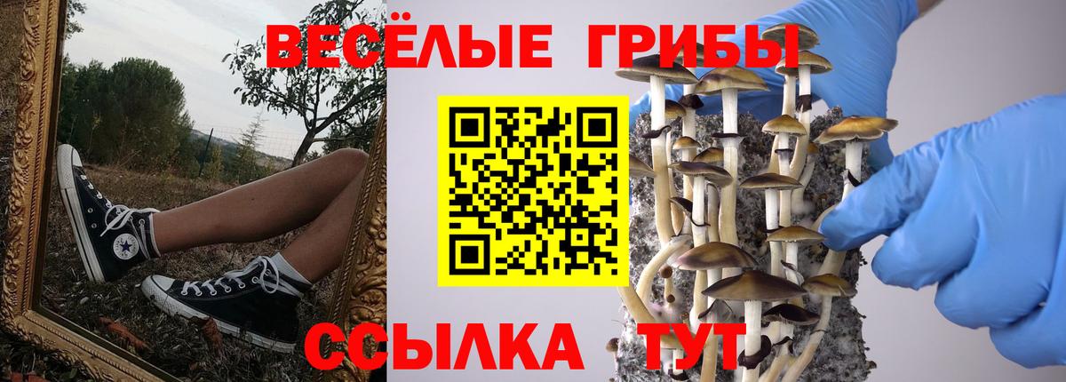 Сергиев Посад  цена   Вход с VPN  Псилоцибиновые грибы Magic Shrooms 